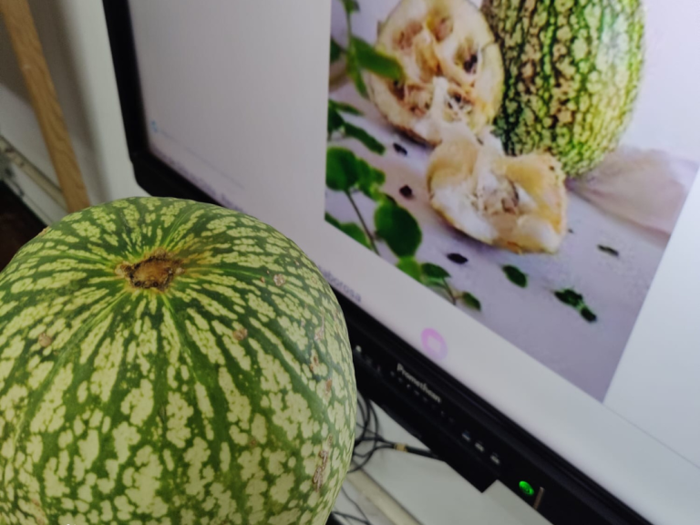 Oliveira de Frades (2)