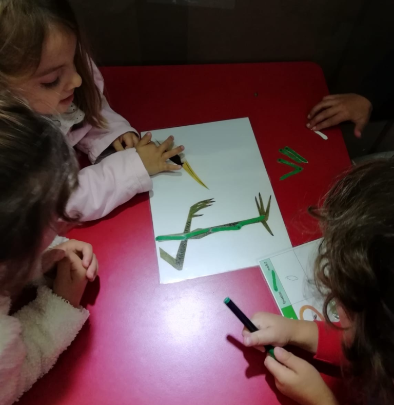 AE Vouzela e Campia (5)